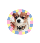 ちっぷくん。（個別スタンプ：8）