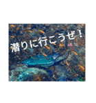 え？まだ使ってないの？みんな使ってるよ（個別スタンプ：1）
