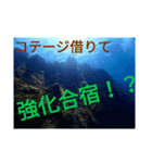 え？まだ使ってないの？みんな使ってるよ（個別スタンプ：3）