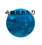 え？まだ使ってないの？みんな使ってるよ（個別スタンプ：4）
