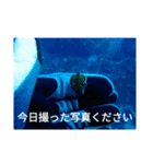 え？まだ使ってないの？みんな使ってるよ（個別スタンプ：8）