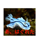 え？まだ使ってないの？みんな使ってるよ（個別スタンプ：9）