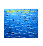 え？まだ使ってないの？みんな使ってるよ（個別スタンプ：13）