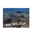 え？まだ使ってないの？みんな使ってるよ（個別スタンプ：14）