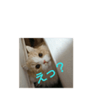 ユルここ君^^（個別スタンプ：1）