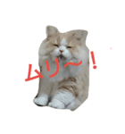 ユルここ君^^（個別スタンプ：5）
