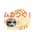 ユルここ君^^（個別スタンプ：7）