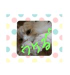ユルここ君^^（個別スタンプ：11）