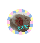 ユルここ君^^（個別スタンプ：12）