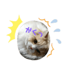 ユルここ君^^（個別スタンプ：13）