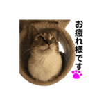 VIVI's  stamp（個別スタンプ：8）
