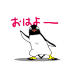 げんと2 -GentooPenguin-（個別スタンプ：1）