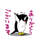 げんと2 -GentooPenguin-（個別スタンプ：4）