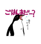 げんと2 -GentooPenguin-（個別スタンプ：11）