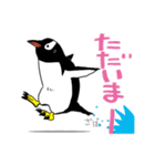 げんと2 -GentooPenguin-（個別スタンプ：13）