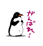 げんと2 -GentooPenguin-（個別スタンプ：22）