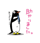 げんと2 -GentooPenguin-（個別スタンプ：24）