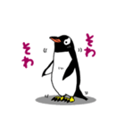 げんと2 -GentooPenguin-（個別スタンプ：30）