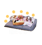 いちご犬スタンプ（個別スタンプ：4）