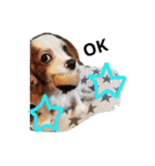 いちご犬スタンプ（個別スタンプ：7）