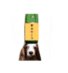 いちご犬スタンプ（個別スタンプ：10）