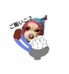 いちご犬スタンプ（個別スタンプ：11）