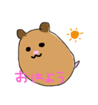キンクマ  ハムスターさん（個別スタンプ：1）