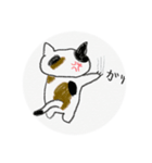 らーちスタンプ2（個別スタンプ：11）