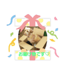 ルビーとローズのスタンプ（個別スタンプ：1）