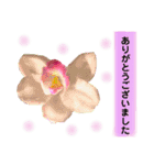 きれいなお花のスタンプPart5（個別スタンプ：8）