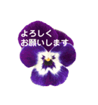きれいなお花のスタンプPart5（個別スタンプ：12）