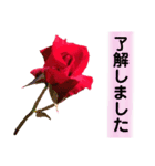 きれいなお花のスタンプPart5（個別スタンプ：14）