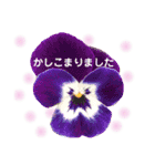 きれいなお花のスタンプPart5（個別スタンプ：17）