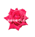 きれいなお花のスタンプPart5（個別スタンプ：21）