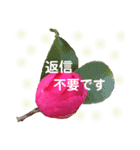 きれいなお花のスタンプPart5（個別スタンプ：22）