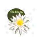 きれいなお花のスタンプPart5（個別スタンプ：23）