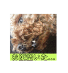 超おバカのお空（個別スタンプ：2）