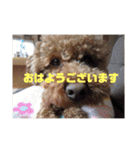 超おバカのお空（個別スタンプ：4）