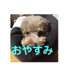 超おバカのお空（個別スタンプ：6）