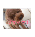 超おバカのお空（個別スタンプ：10）