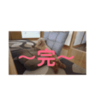 超おバカのお空（個別スタンプ：12）