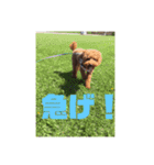 超おバカのお空（個別スタンプ：16）