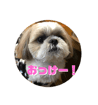 まもるくんのスタンプ（個別スタンプ：2）