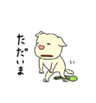 ぶさ犬たけちゃん（個別スタンプ：10）