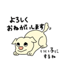 ぶさ犬たけちゃん（個別スタンプ：22）