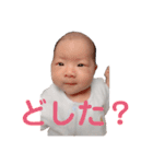 うーたんスタンプ♬①（個別スタンプ：12）
