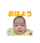 うーたんスタンプ♬①（個別スタンプ：17）