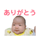 うーたんスタンプ♬①（個別スタンプ：18）