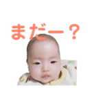 うーたんスタンプ♬①（個別スタンプ：24）