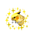 オカメさんのスタンプ（個別スタンプ：2）